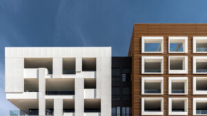 Scopri di più sull'articolo Consectetur adipiscing elit