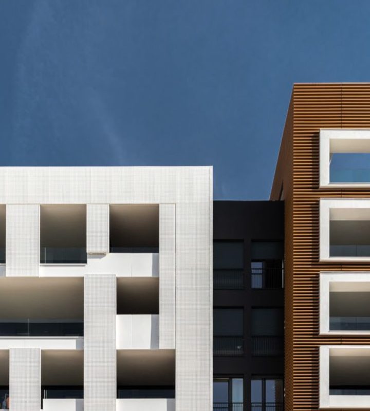 Consectetur adipiscing elit