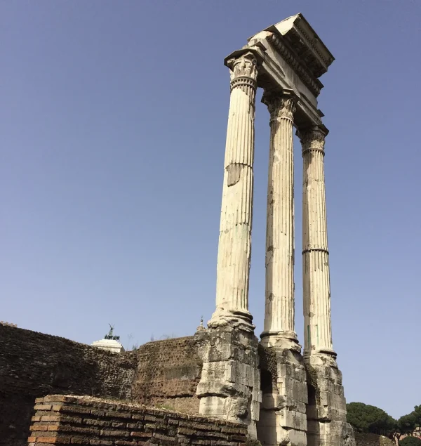 Vetritalia_sito_chi siamo_fascia 5